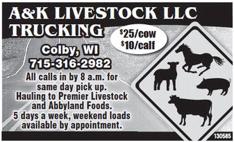 recordreview_20230524_trr-2023-05-24-0-002_art_4.xml