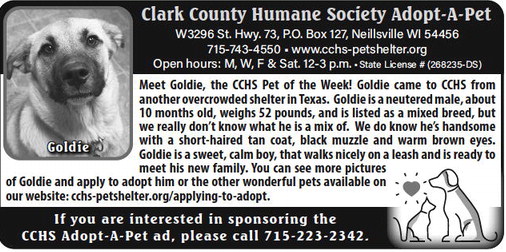 recordgleaner_20230517_trg-2023-05-17-a-005_art_3.xml