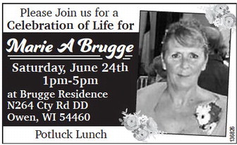 starnews_20230525_tsn-2023-05-25-a-018_art_4.xml