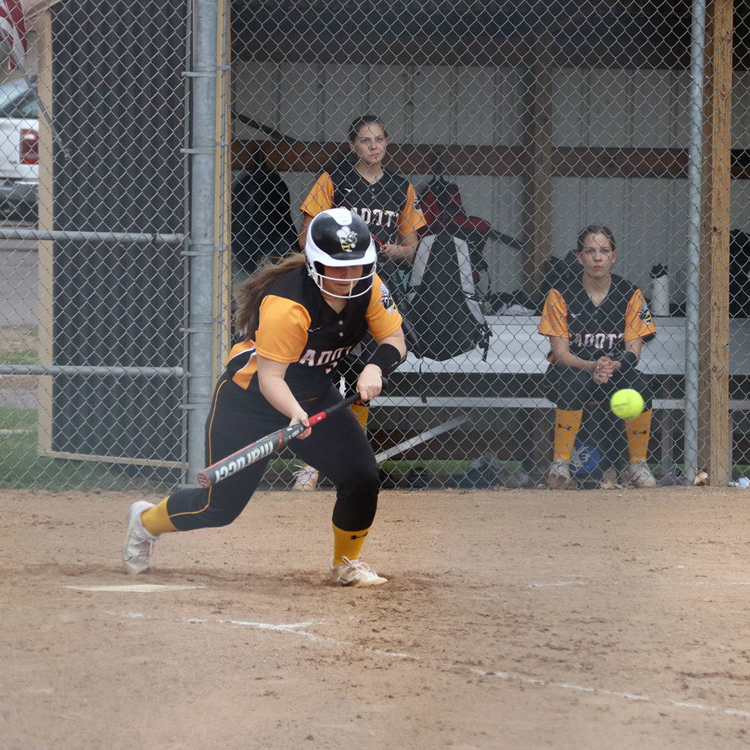 Hornets strike out with their conference foes