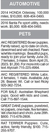 starnews_20230629_tsn-2023-06-29-b-014_art_10.xml