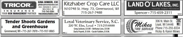 recordgleaner_20230621_trg-2023-06-21-0-009_art_4.xml