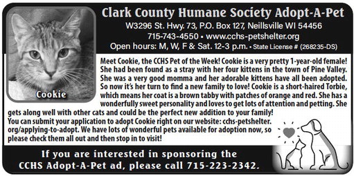 recordgleaner_20230621_trg-2023-06-21-0-015_art_5.xml