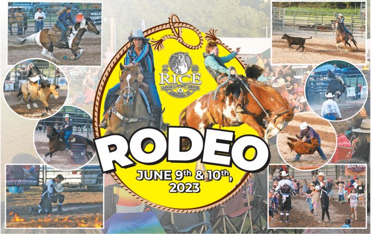 starnews_20230615_tsn-2023-06-15-b-008_art_0.xml