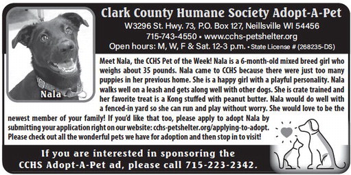 recordgleaner_20230628_trg-2023-06-28-0-012_art_4.xml