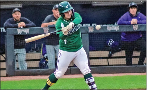 Wildcats lose in extra innings Wildcats lose in extra innings