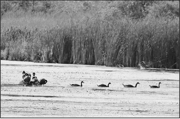 Off the Beaten Path…