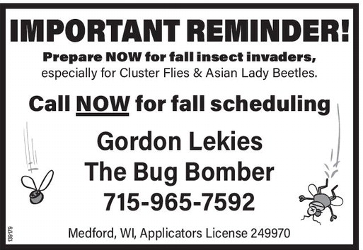 starnews_20230720_tsn-2023-07-20-a-005_art_2.xml