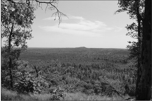 Off the Beaten Path… Off the Beaten Path…
