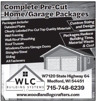 recordreview_20230719_trr-2023-07-19-b-012_art_4.xml