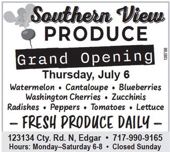 recordreview_20230705_trr-2023-07-05-0-003_art_2.xml