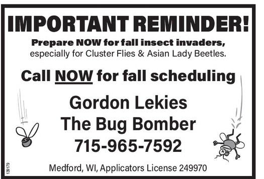 starnews_20230713_tsn-2023-07-13-b-016_art_4.xml