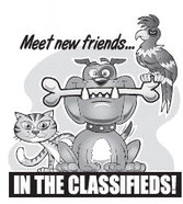 recordgleaner_20230705_trg-2023-07-05-0-015_art_0.xml