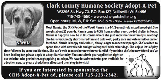 recordgleaner_20230705_trg-2023-07-05-0-006_art_1.xml