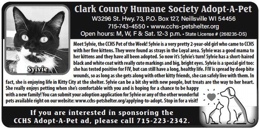 recordgleaner_20230719_trg-2023-07-19-a-005_art_9.xml