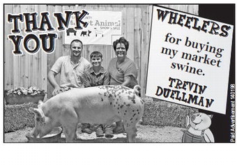 starnews_20230803_tsn-2023-08-03-c-006_art_3.xml