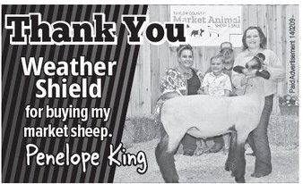 starnews_20230803_tsn-2023-08-03-c-009_art_4.xml