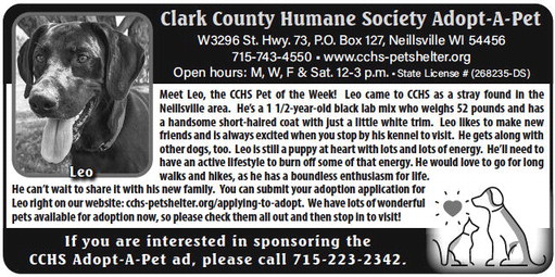 recordgleaner_20230830_trg-2023-08-30-0-016_art_2.xml