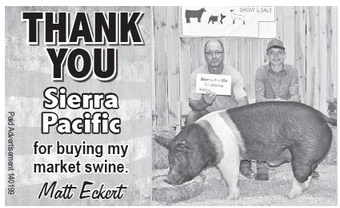 starnews_20230803_tsn-2023-08-03-c-007_art_3.xml