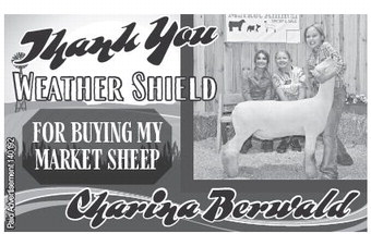 starnews_20230803_tsn-2023-08-03-c-005_art_2.xml