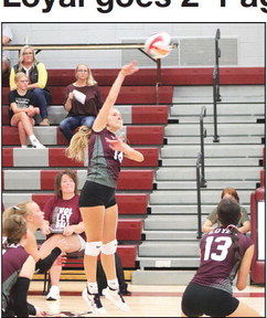 Loyal goes 2-1 against teams at home quadrangular