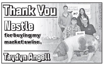 starnews_20230803_tsn-2023-08-03-c-004_art_2.xml