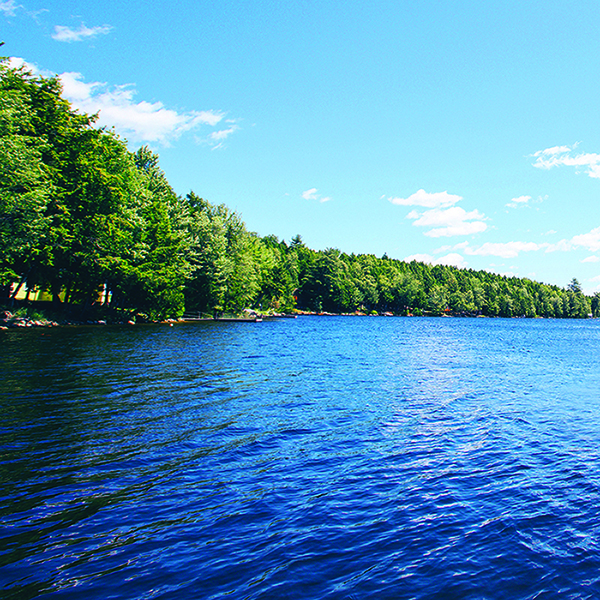 Surface water grants can help with preservations Surface water grants can help with preservations
