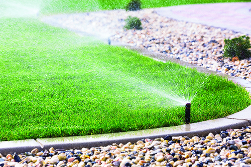Take care of the lawn during extreme heat Take care of the lawn during extreme heat