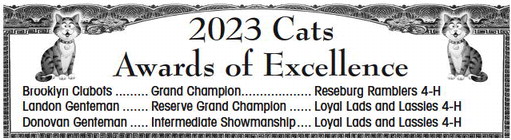 recordgleaner_20230823_trg-2023-08-23-b-012_art_6.xml