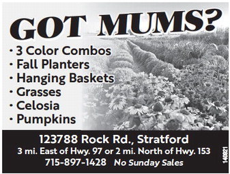 recordreview_20230830_trr-2023-08-30-0-002_art_3.xml