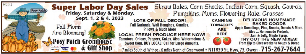 recordgleaner_20230830_trg-2023-08-30-0-011_art_2.xml