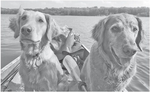 Wisconsin River  canoe trip