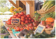 Savor the season and get the most out of farmers markets Savor the season and get the most out of farmers markets