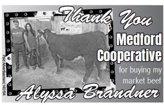 starnews_20230803_tsn-2023-08-03-c-006_art_1.xml