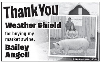 starnews_20230803_tsn-2023-08-03-c-004_art_1.xml