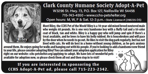 recordgleaner_20230802_trg-2023-08-02-0-007_art_1.xml