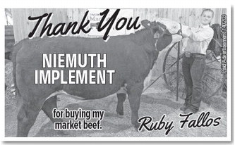 starnews_20230803_tsn-2023-08-03-c-008_art_3.xml