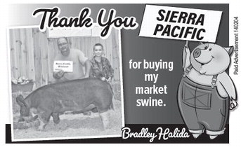 starnews_20230803_tsn-2023-08-03-c-008_art_1.xml