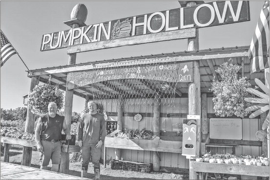 More than a pumpkin patch More than a pumpkin patch