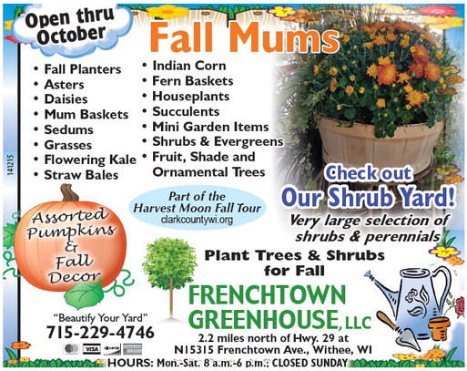 recordreview_20230920_trr-2023-09-20-b-006_art_1.xml