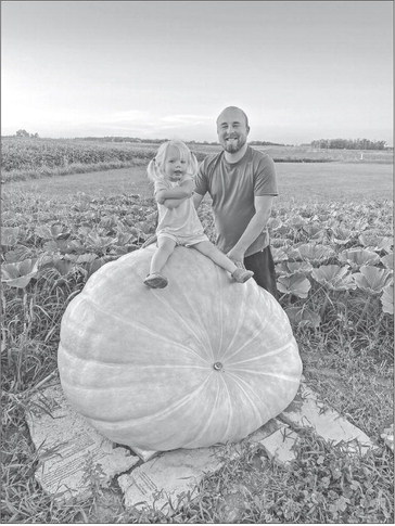 Lone Pumpkin on the Lone Pumpkin on the