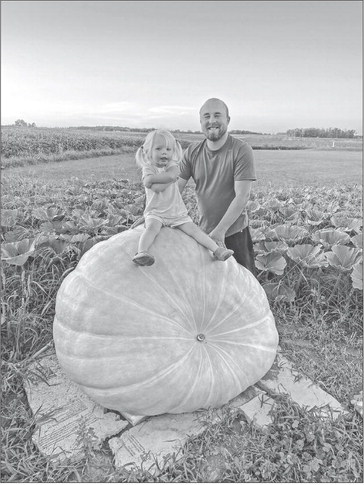 Lone Pumpkin on the
