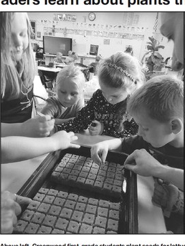Greenwood 1st graders learn about plants through hydroponics system