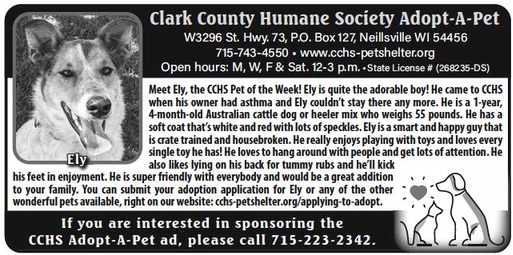 recordgleaner_20230920_trg-2023-09-20-a-016_art_4.xml