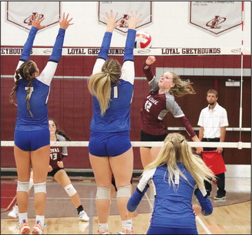 Loyal volleyball gains decisive victory over Mondovi Loyal volleyball gains decisive victory over Mondovi
