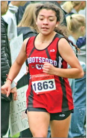 Falcons wrap season at sectionals