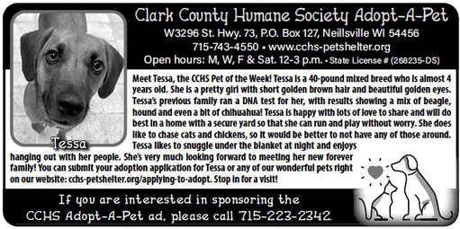 recordgleaner_20231025_trg-2023-10-25-0-003_art_3.xml