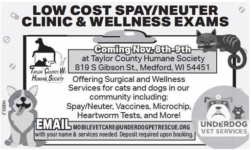 starnews_20231012_tsn-2023-10-12-a-004_art_3.xml