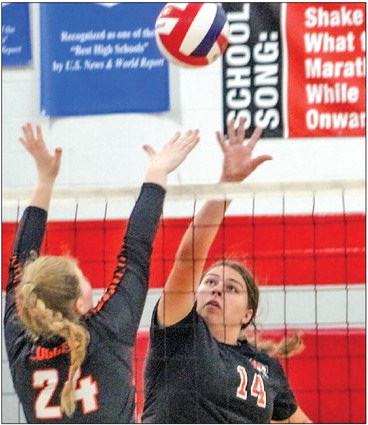 Tigers happy despite loss to Loggers