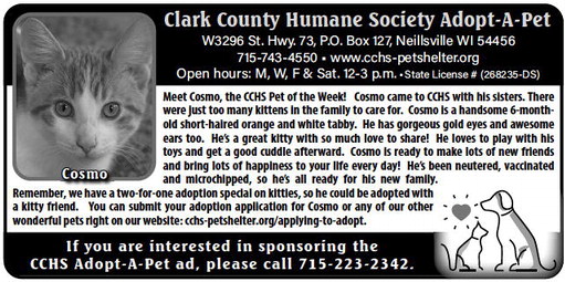 recordgleaner_20231018_trg-2023-10-18-0-022_art_2.xml